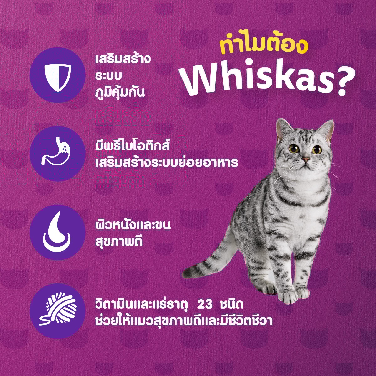 วิสกัส อาหารแมวชนิดเม็ด รสปลาทู 480 ก._3
