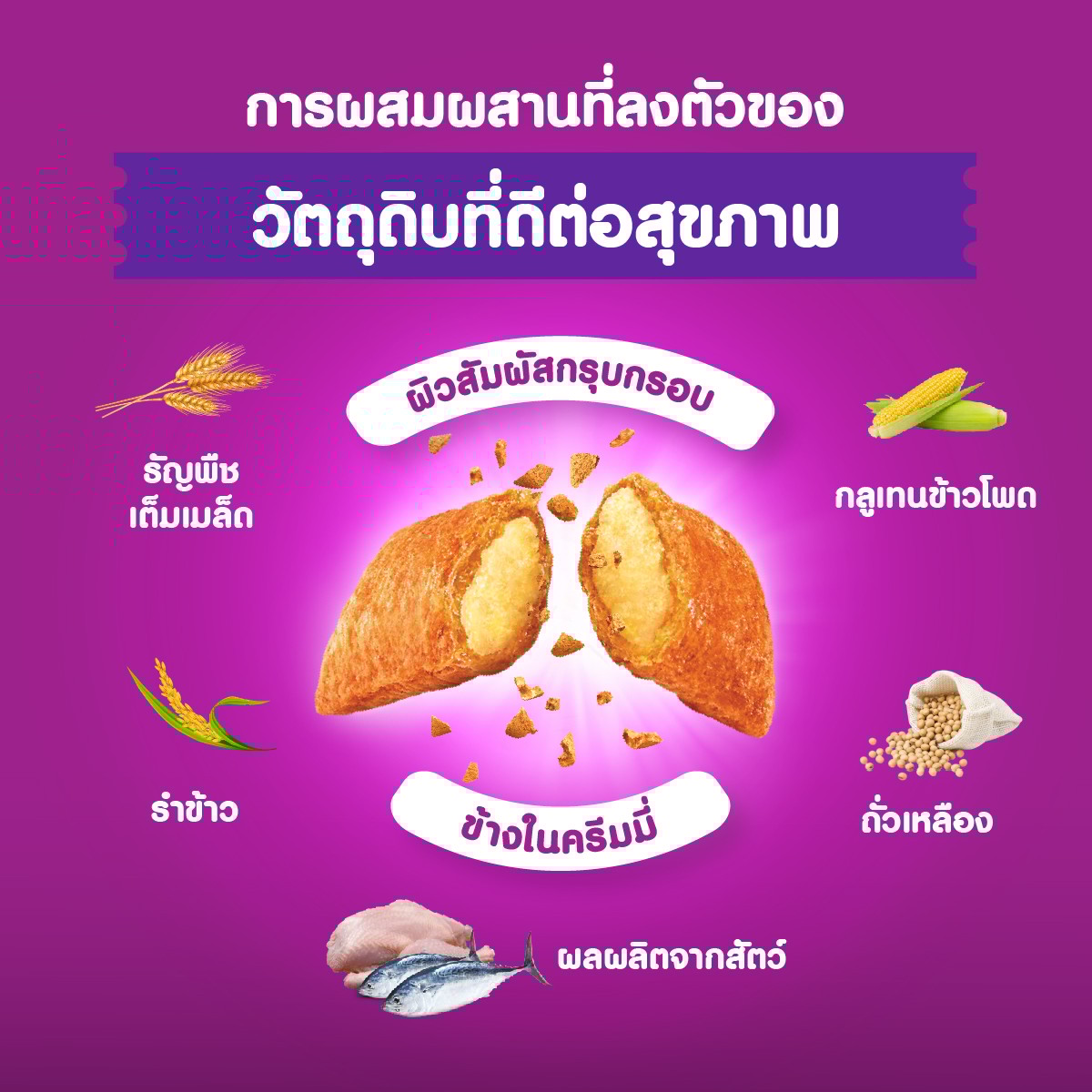 วิสกัส อาหารแมวชนิดเม็ด รสปลาทู 480 ก._4