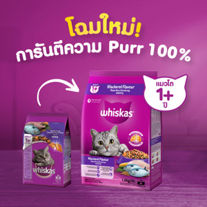วิสกัส อาหารแมวชนิดเม็ด รสปลาทู 480 ก._thumbnail_2