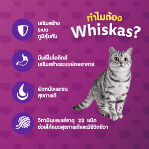 วิสกัส อาหารแมวชนิดเม็ด รสปลาทู 480 ก._thumbnail_3