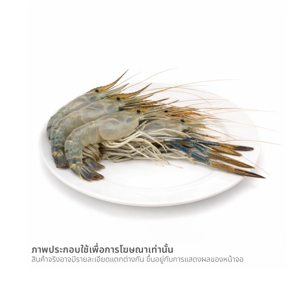 กุ้งแม่น้ำ