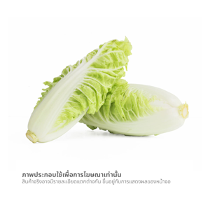 โครงการหลวง ผักกาดหางหงษ์ 400 ก._thumbnail_2