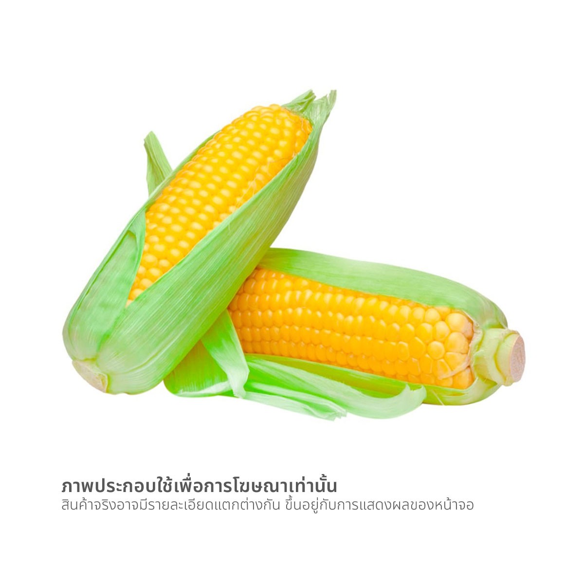 ข้าวโพดหวานพร้อมทาน_1