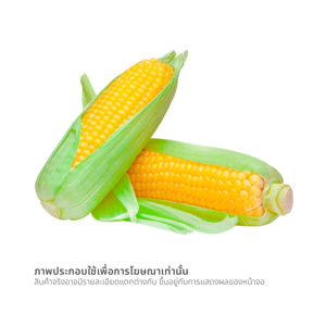 ข้าวโพดหวานพร้อมทาน_thumbnail_1