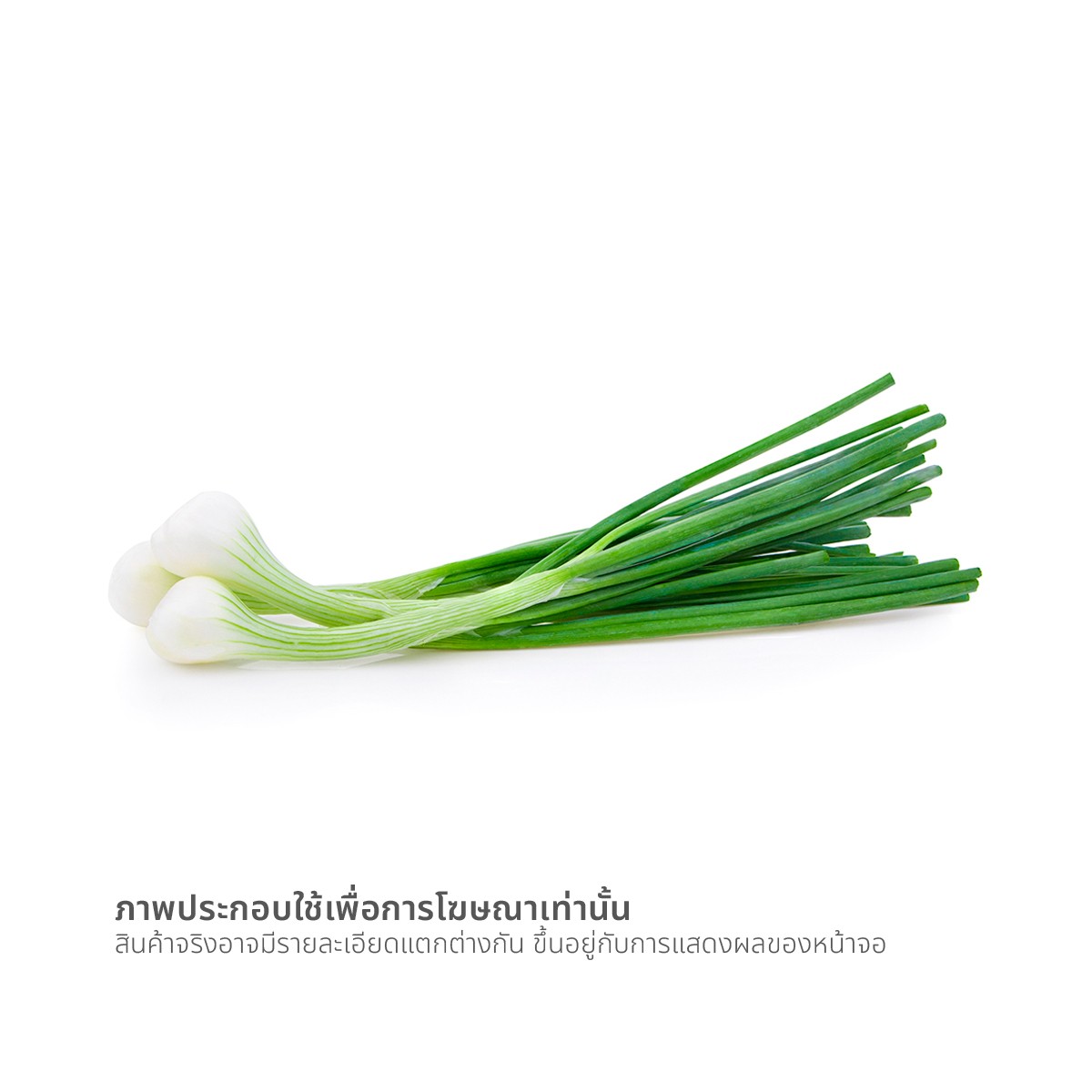 วีอาร์เฟรช ต้นหอม ออร์แกนิค 50 ก._1
