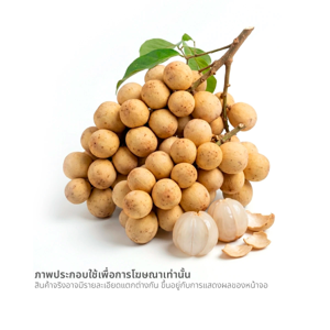 ลองกอง กก.ละ_thumbnail