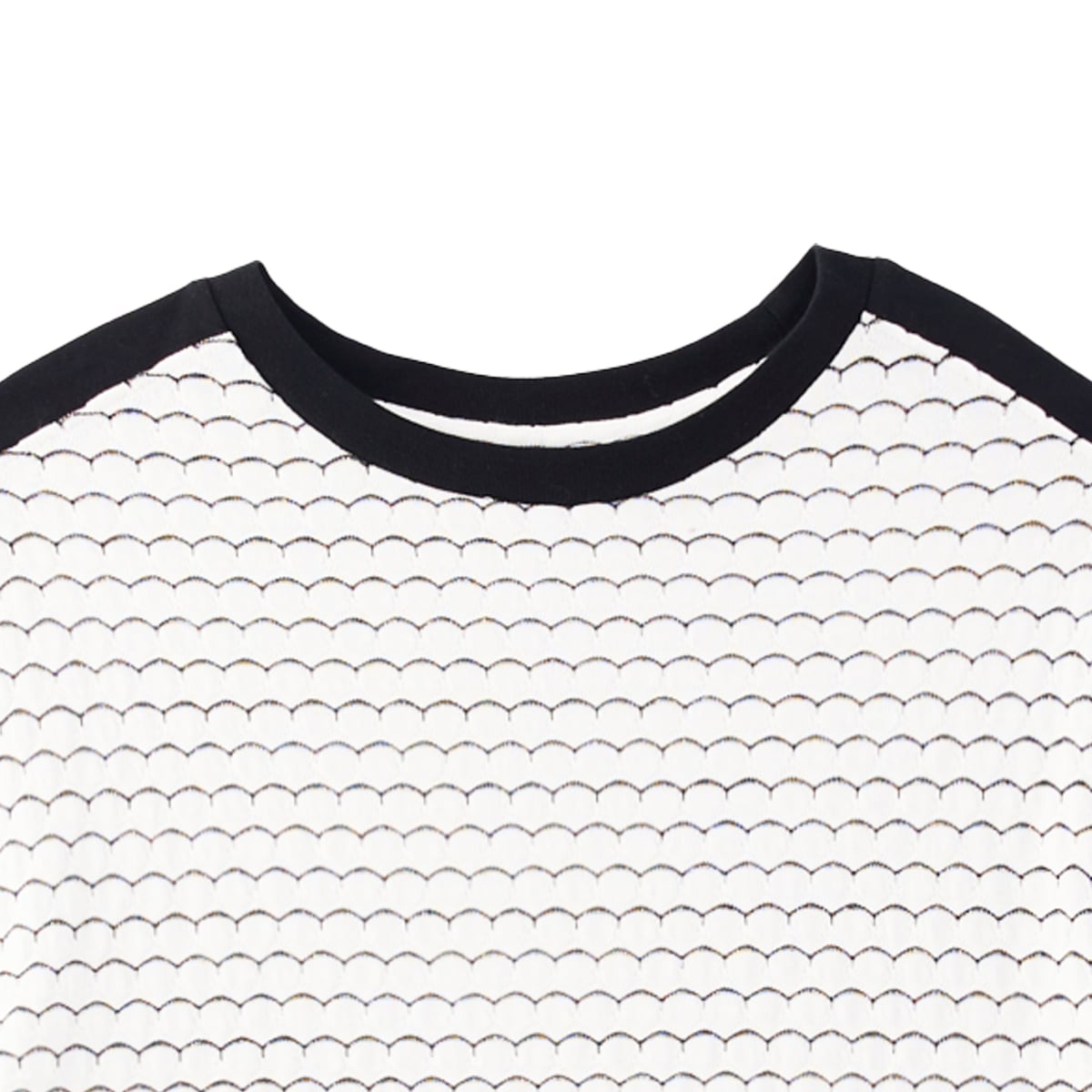 เบสิโค เสื้อยืดผู้หญิง_2