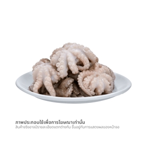 ซีเซฟ หัวหมึกกระดอง 500 ก._thumbnail_3