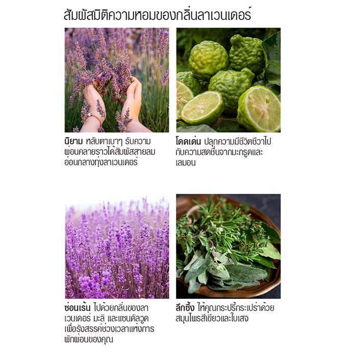 เกลด สปอร์ต น้ำหอมปรับอากาศในรถยนต์ กลิ่นลาเวนเดอร์ มารีน 7 มล._1