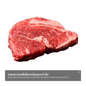 เกรทเซาเทิร์น เนื้อเสือร้องไห้วัวออสเตรเลีย_thumbnail_1