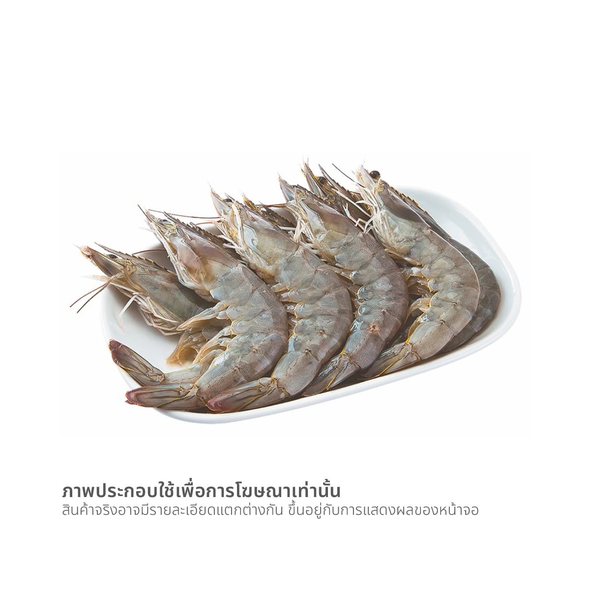 วี อาร์ เฟร็ช กุ้งขาว 41-45 ตัว/กก.