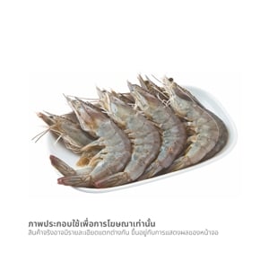 วี อาร์ เฟร็ช กุ้งขาว 41-45 ตัว/กก._thumbnail