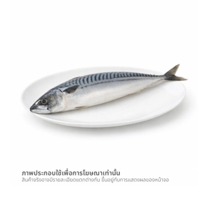 ปลาซาบะแช่แข็ง 200-400 ก._thumbnail_1