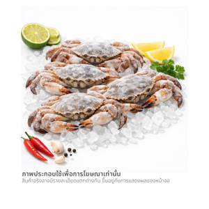 วี อาร์ เฟร็ช ปูนิ่มแช่แข็ง (7-9 ตัว/กก.) 500 ก._thumbnail_2