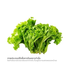 บิ๊กซี ผักกาดหอม แบบแพ็ค_thumbnail_1