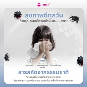 โลตัส หมอนหนุนใยสังเคราะห์ รุ่น Sleepy สีขาว_thumbnail_5