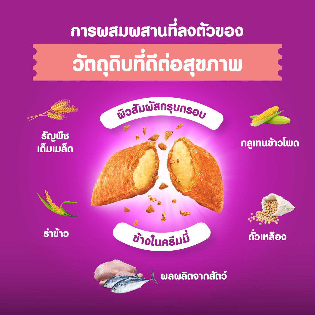 วิสกัส อาหารแมวชนิดเม็ด สำหรับแมวโต รสทูน่าและแซลมอน 3 กก._3