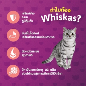 วิสกัส อาหารแมวชนิดเม็ด สำหรับแมวโต รสทูน่าและแซลมอน 3 กก._thumbnail_2