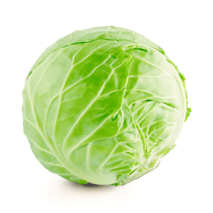 เอ็นแอนด์พี กะหล่ำปลี ออร์แกนิค_thumbnail_2