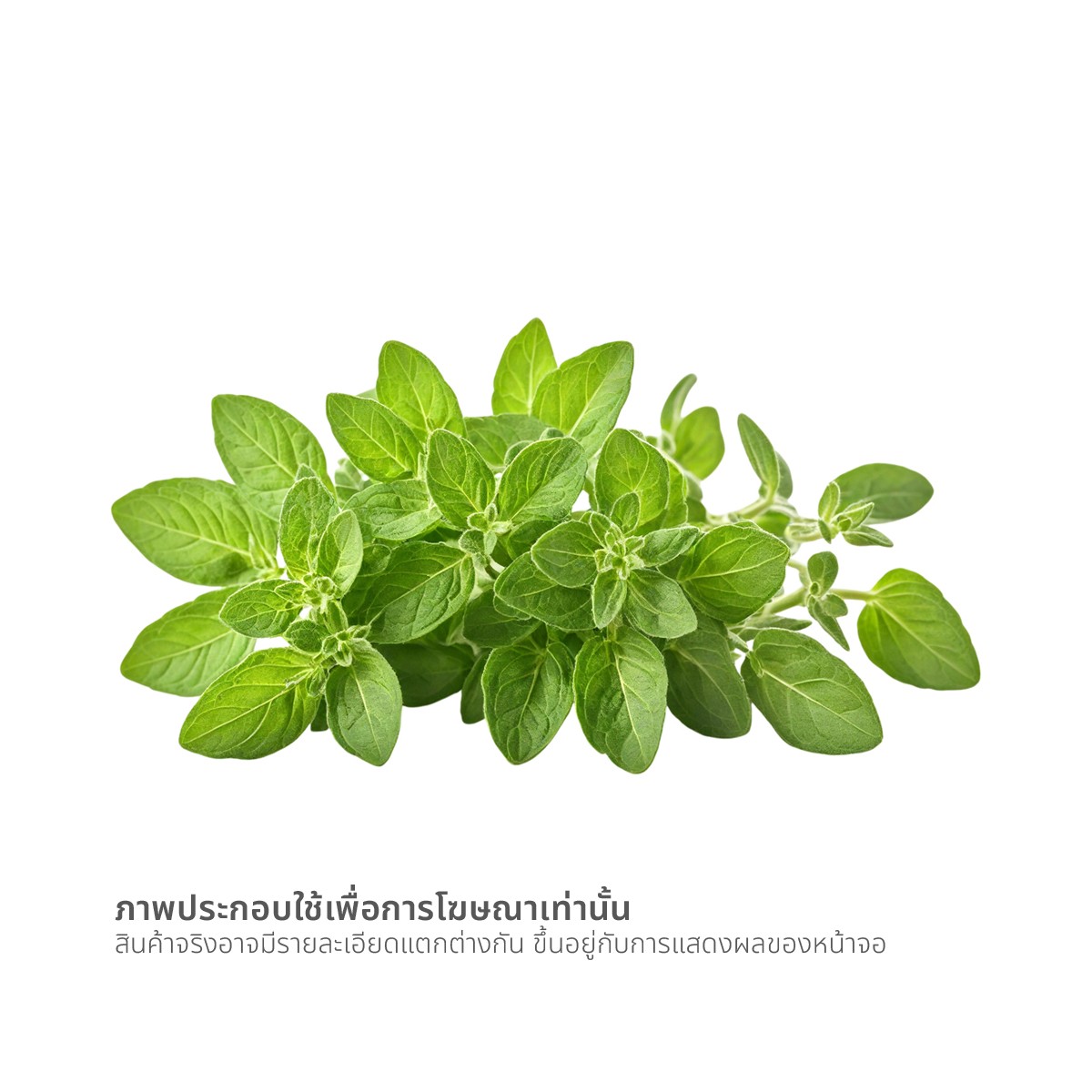 วี อาร์ เฟร็ช ออริกาโน่ ออร์แกนิค 20 ก._1