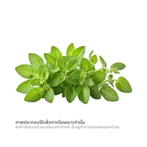 วี อาร์ เฟร็ช ออริกาโน่ ออร์แกนิค 20 ก._thumbnail_1