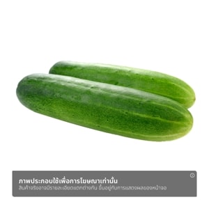 เอ็นแอนด์พี แตงร้าน ออร์แกนิค_thumbnail_1