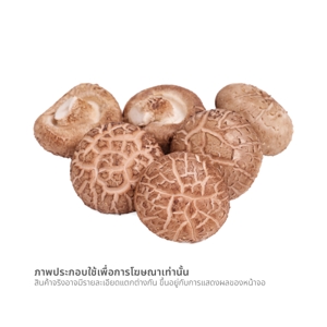 เอสเอ็น เฟรช เห็ดหอมสดนอก 300 ก._thumbnail_1