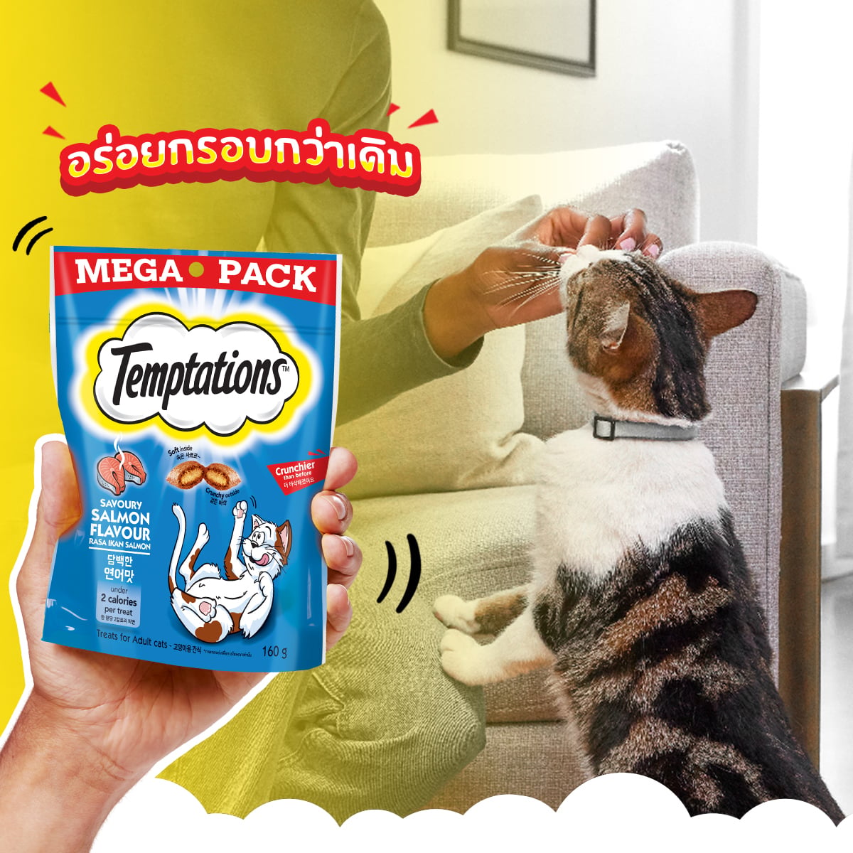 เทมเทชันส์ ขนมแมว รสเซเวอรี่แซลมอน 160 ก._3