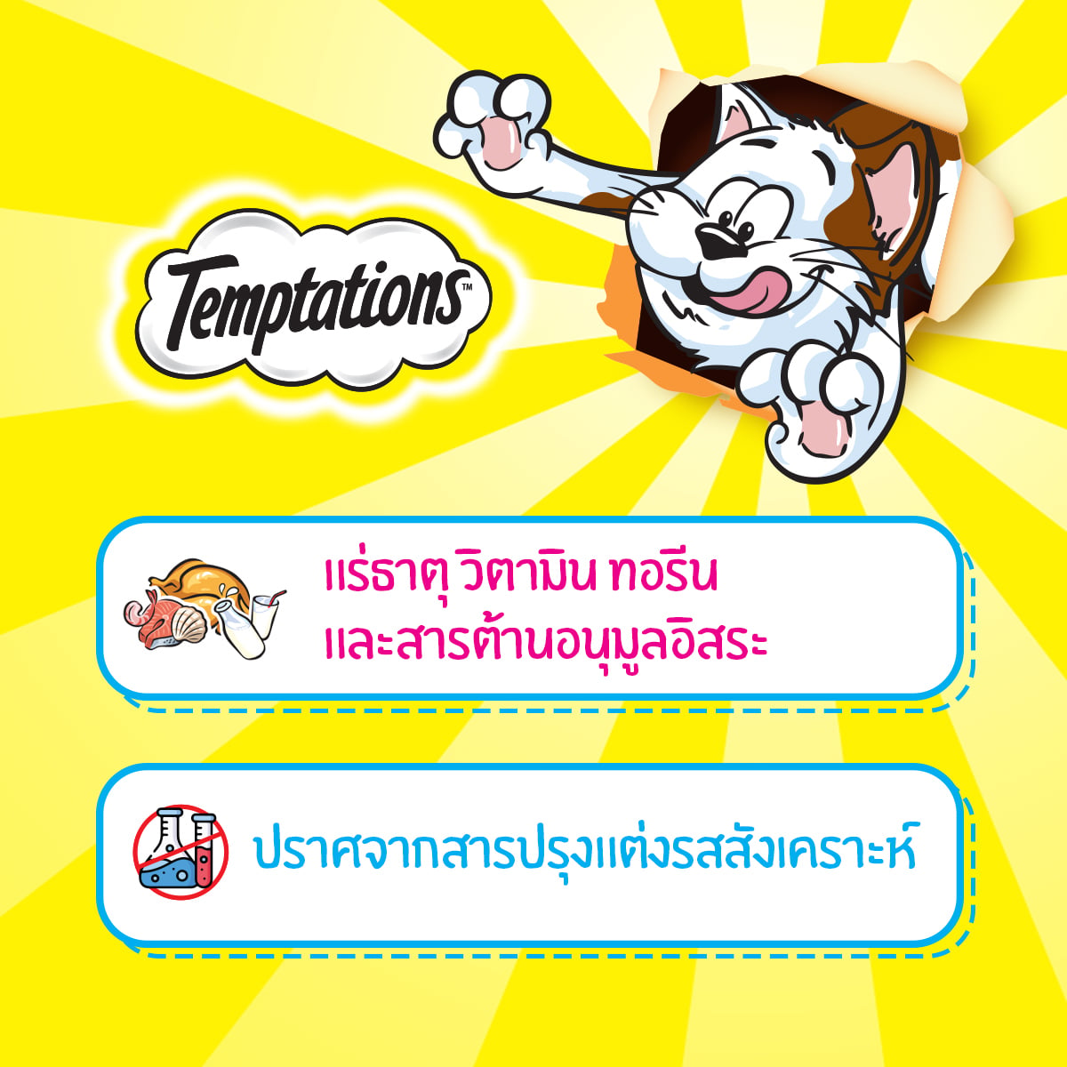 เทมเทชันส์ ขนมแมว รสเซเวอรี่แซลมอน 160 ก._5