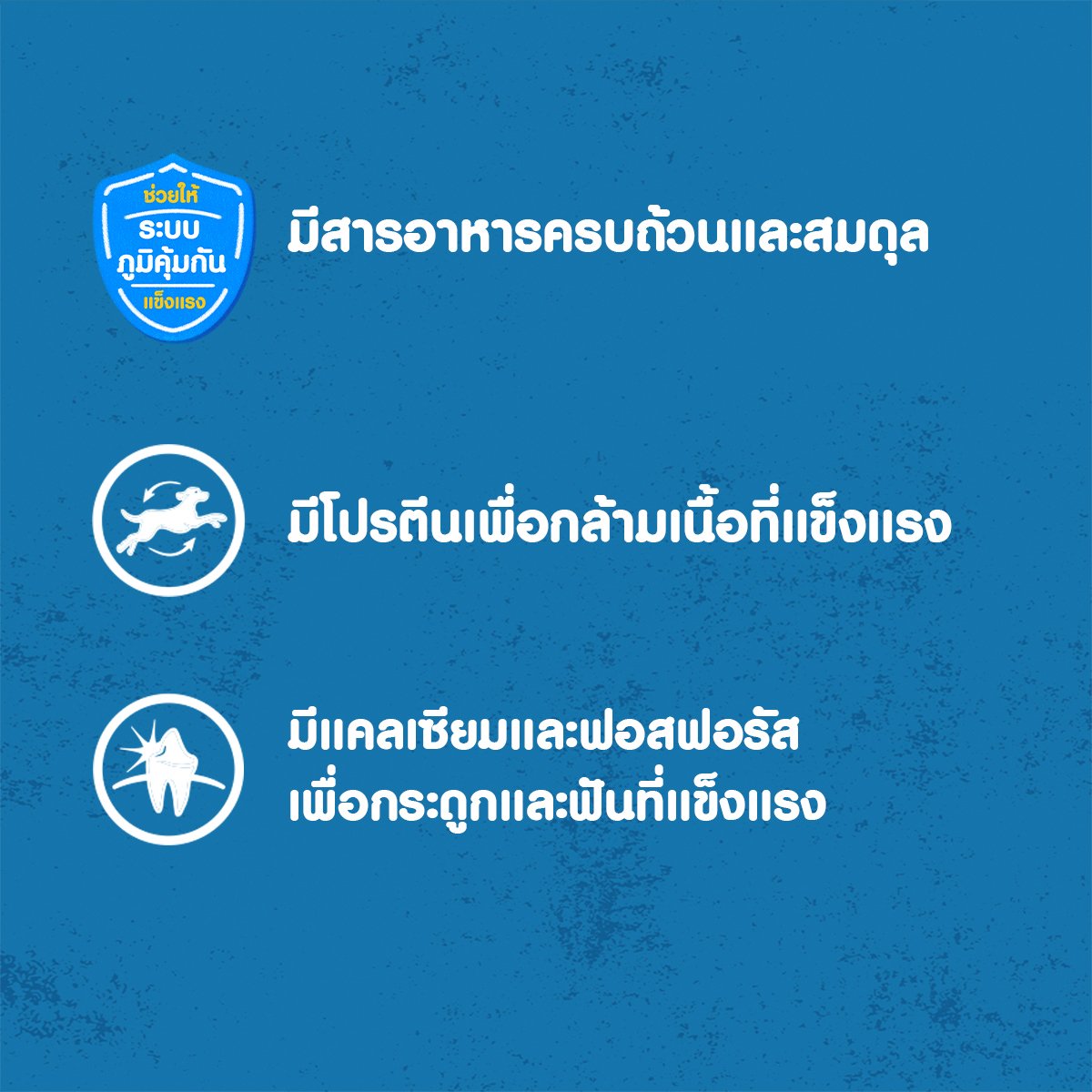 เพดดิกรี อาหารสุนัขโตแบบเปียก รสไก่และตับในน้ำเกรวี่ 130 ก. แพ็ค 12_3