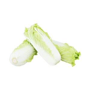 Napa Cabbage