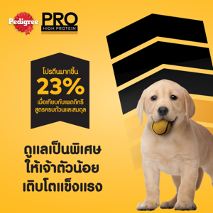 เพดดิกรี โปร อาหารลูกสุนัขทุกสายพันธุ์ ชนิดเม็ด 2.7 กก._thumbnail_3