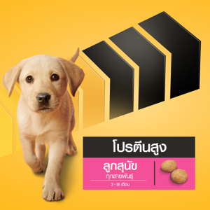 เพดดิกรี โปร อาหารลูกสุนัขทุกสายพันธุ์ ชนิดเม็ด 2.7 กก._thumbnail_7