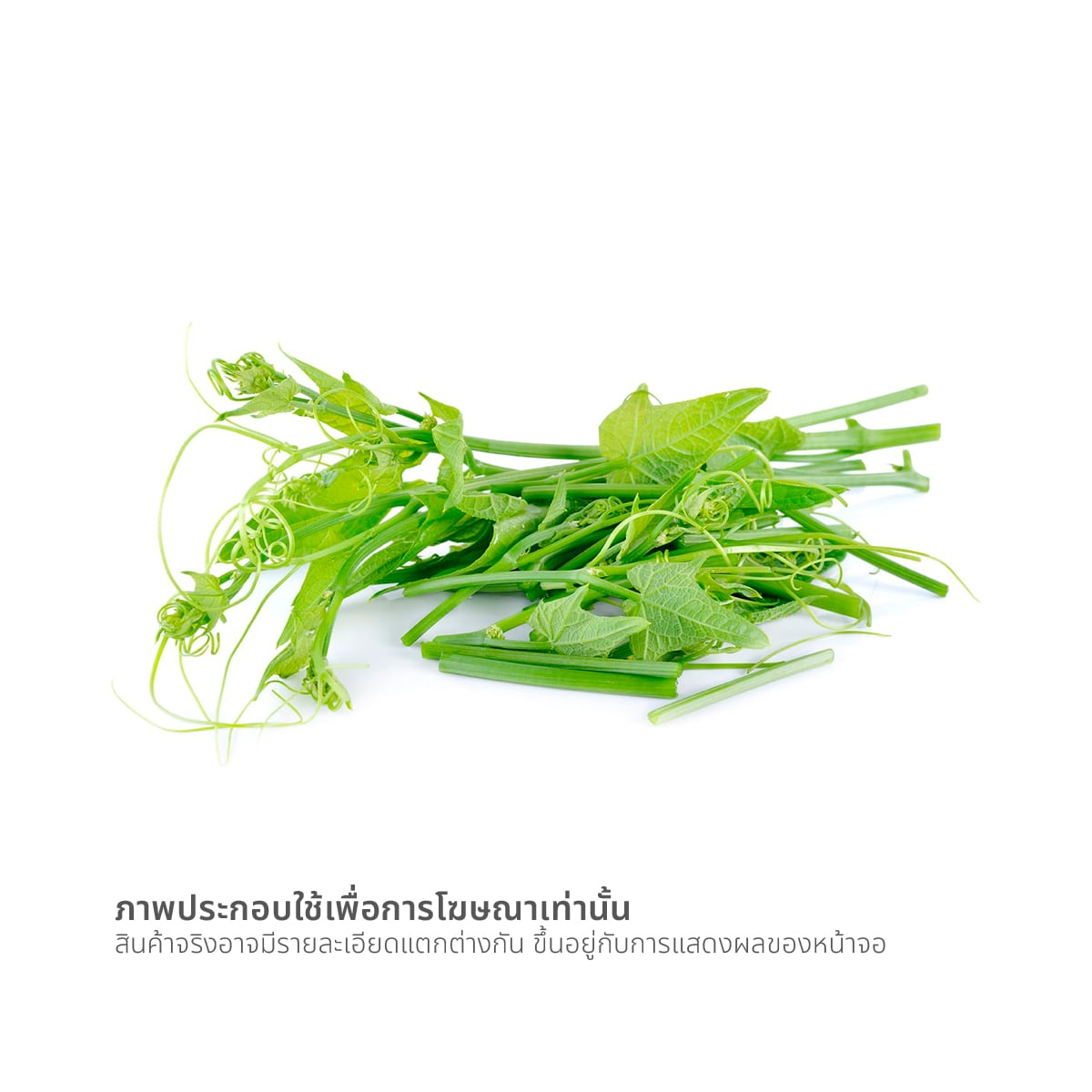 วี อาร์ เฟร็ช ยอดฟักแม้ว 200 ก._1