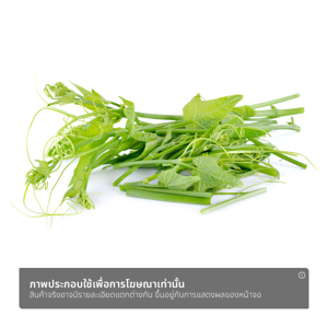 วี อาร์ เฟร็ช ยอดฟักแม้ว 200 ก._thumbnail_1