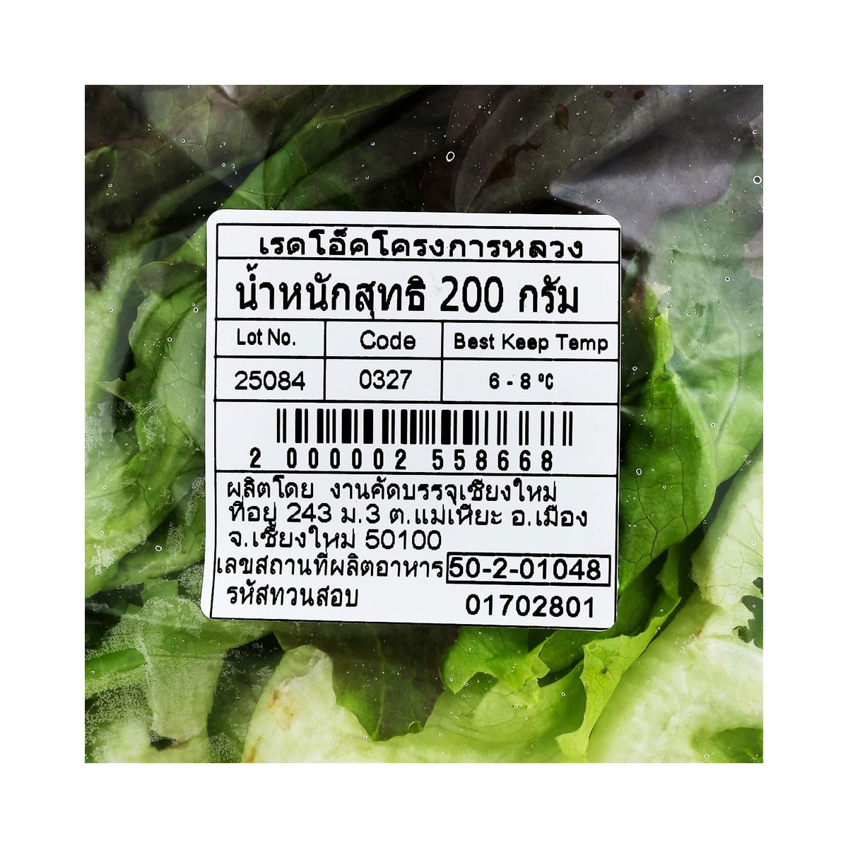โครงการหลวง ผักสลัดเรดโอ๊ค 200 ก._3
