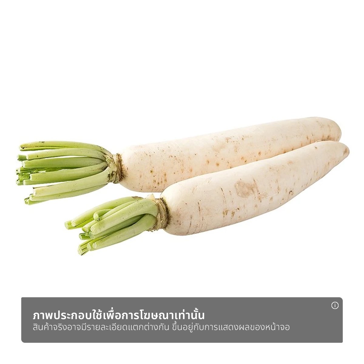 หัวไชเท้า_1