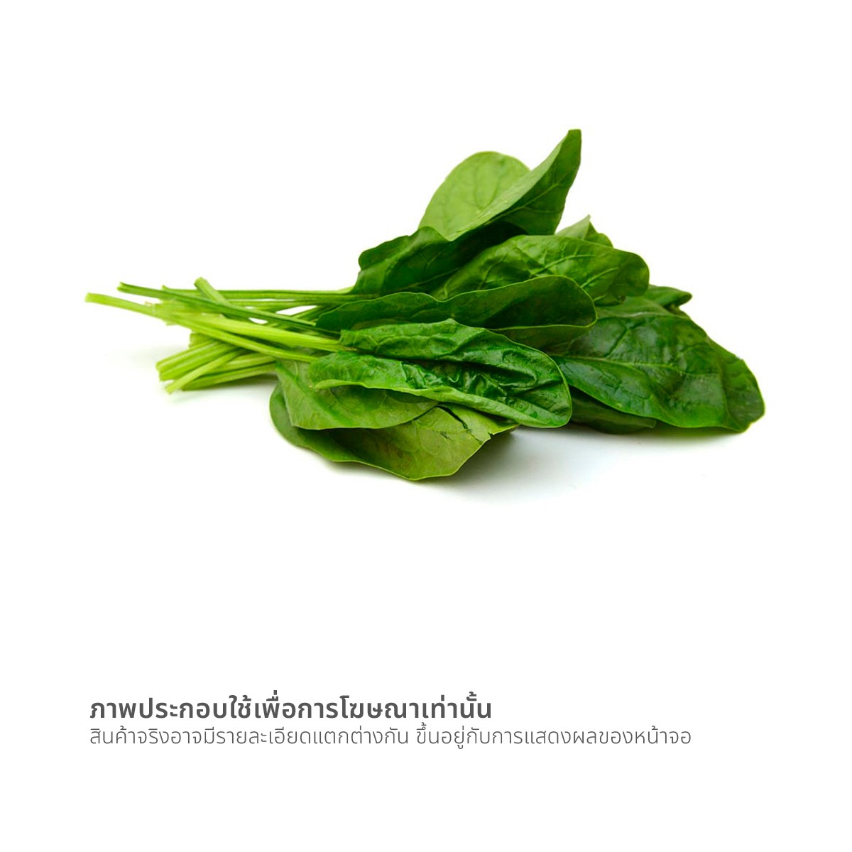 ปวยเล้ง แพ็ค_1