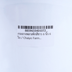 ชัยโย ฟาร์ม กระถางพลาสติก ขนาด 6 นิ้ว สีขาว แพ็ค 6_thumbnail_2
