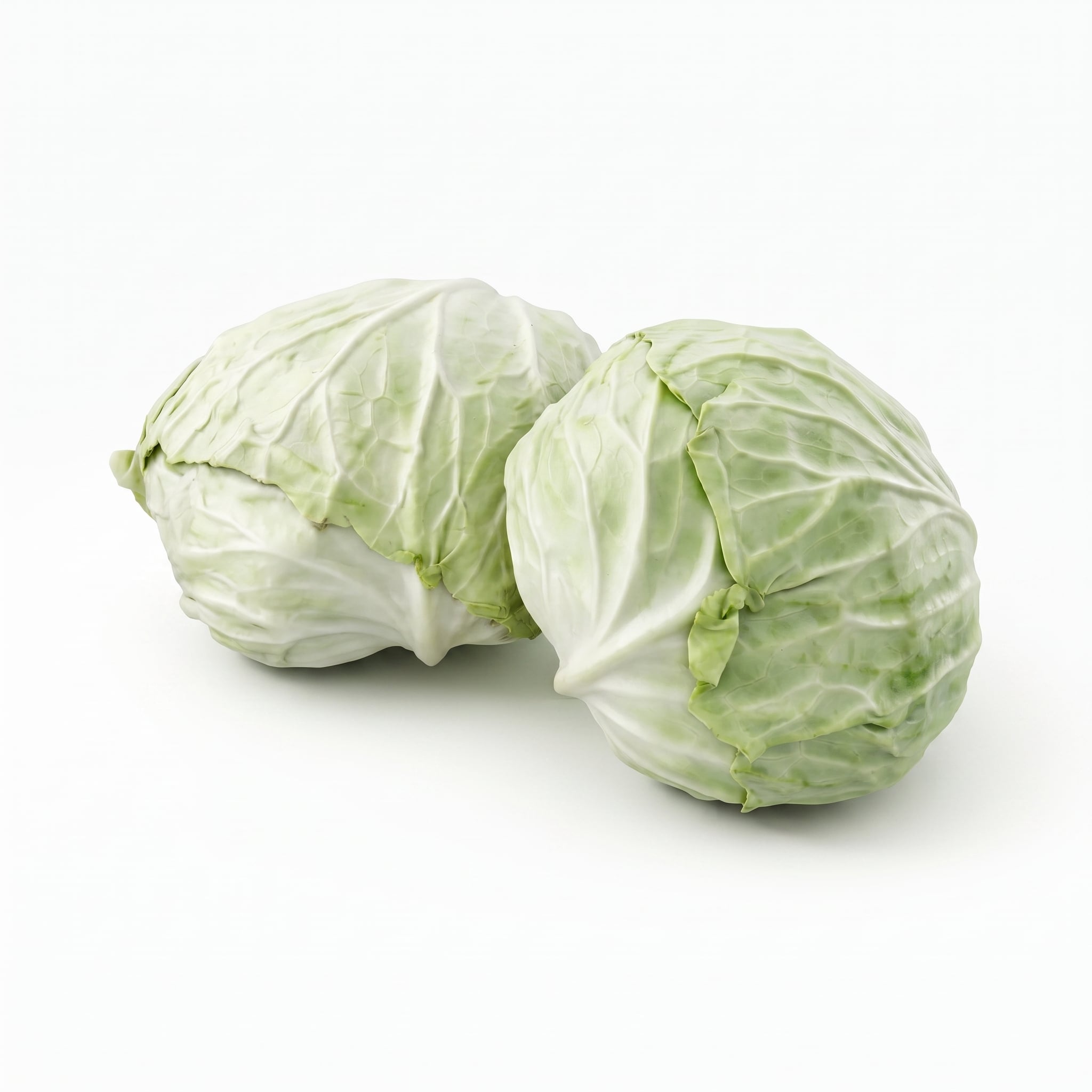 Cabbage
