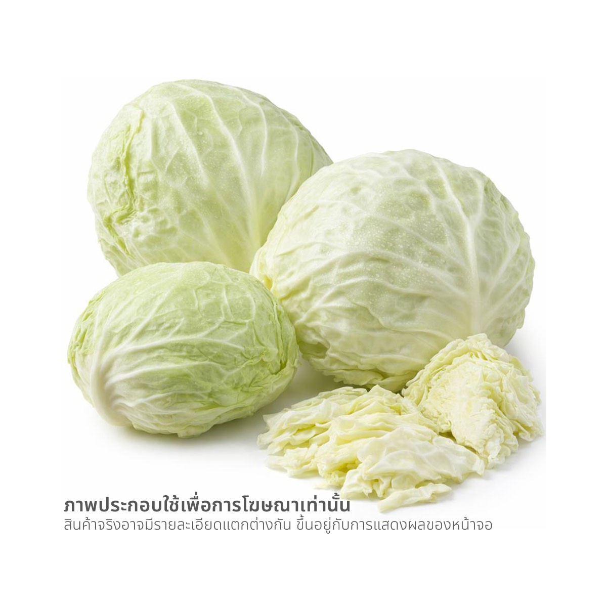 กะหล่ำปลี_1