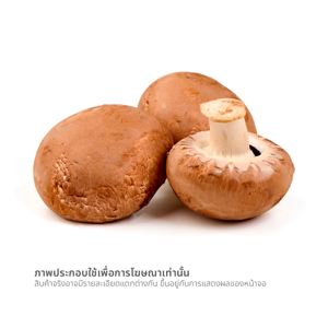 วี อาร์ เฟร็ช เห็ดแชมปิญองน้ำตาล 150 ก._thumbnail_1