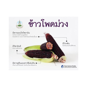 โครงการหลวง ข้าวโพดหวานสีม่วง 600 ก._thumbnail_3