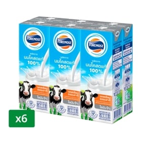 Foremost UHT Non Fat Milk 225ml. Pack 6