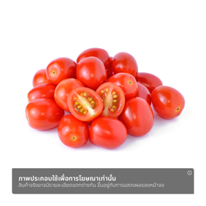 มะเขือเทศราชินี_thumbnail_1