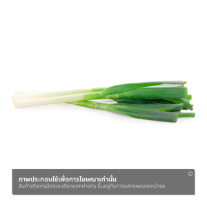 นอร์ทเทิร์น ฟาร์ม ต้นหอมญี่ปุ่น 250 ก._thumbnail_1