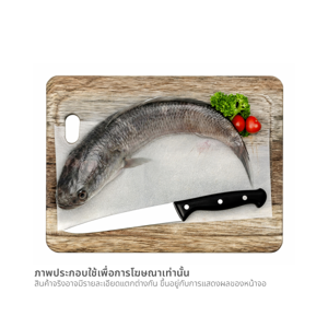 ปลาช่อน (เฉลี่ยตัวละ 700-800 ก.) ตัวละ_thumbnail_2