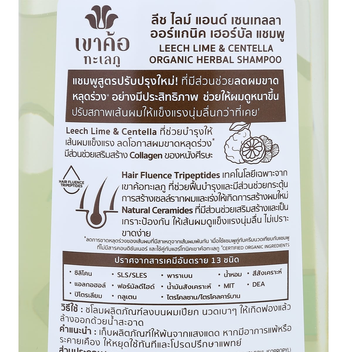 เขาค้อทะเลภู แชมพูสมุนไพรมะกรูดและใบบัวบก สำหรับผมขาดหลุดร่วง 450 มล._1