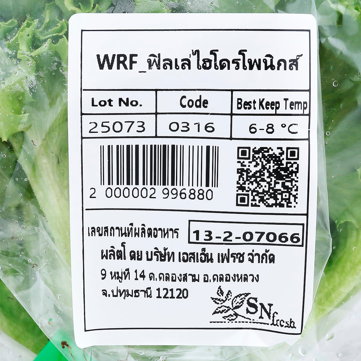 วีอาร์เฟรช ฟิลเล่ซ์ไอส์เบิร์กไฮโดร 100 ก._2