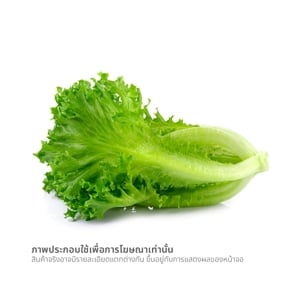 วีอาร์เฟรช ฟิลเล่ซ์ไอส์เบิร์กไฮโดร 100 ก._thumbnail_1